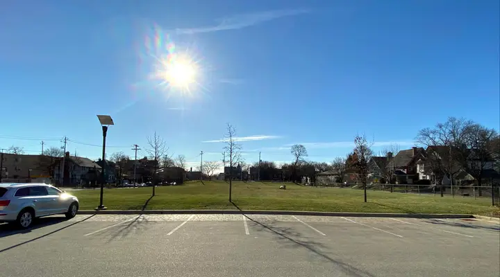 Open grass field on a sunny winter day.