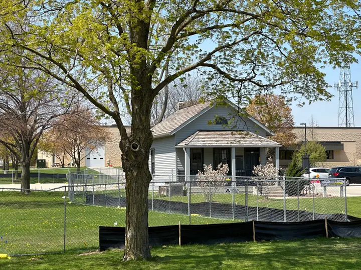 Town hall from a distance with a large tree in front of it.